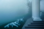 Pillars in Fog