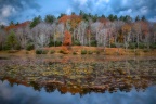 Autumn at Bass Lake