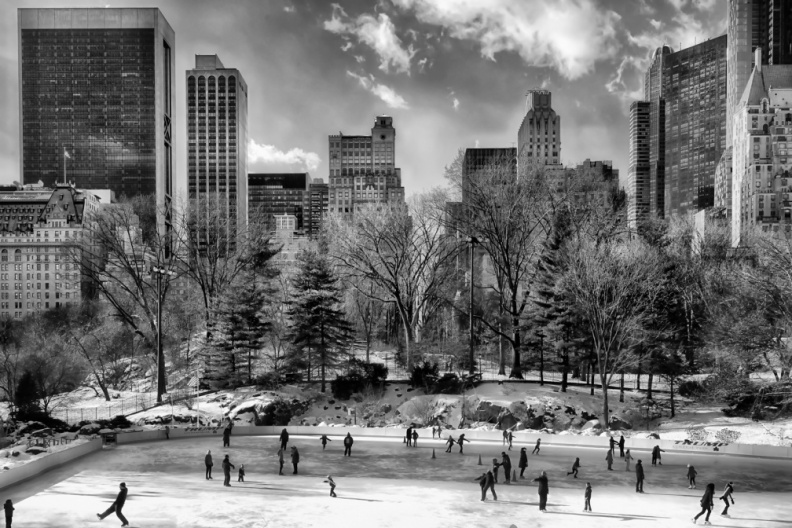 CentralPark01-26-14-282-Edit-Edit-Edit.jpg