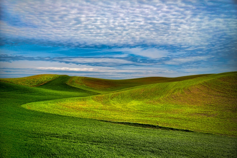 Palouse06-07-13-4-Edit-Edit-Edit-Edit-Edit-3-Edit-Edit.jpg