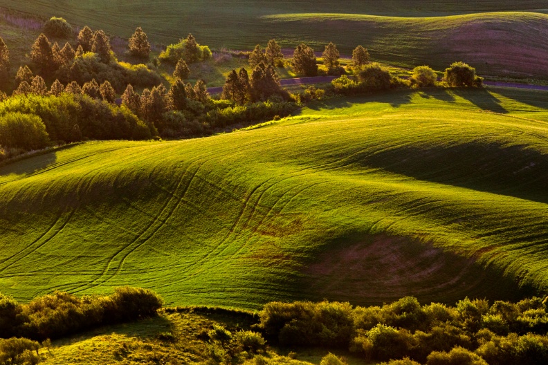 Palouse06-08-13-114-Edit.jpg