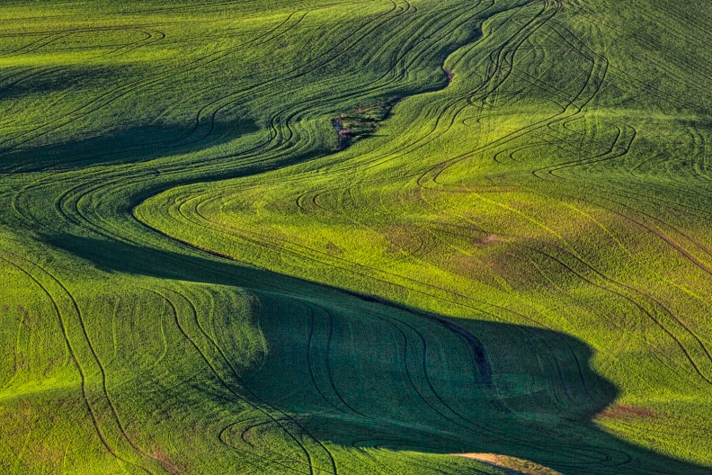 Palouse06-08-13-133-Edit.jpg