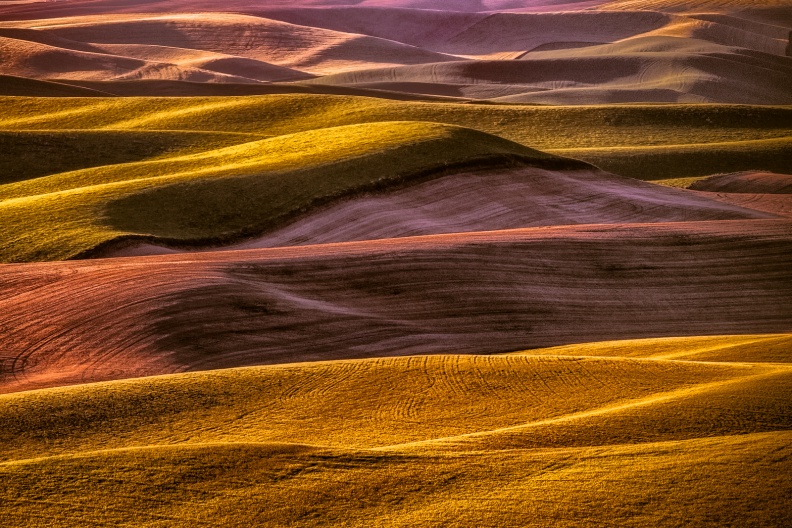 Palouse06-09-13-222-Edit-Edit-Edit.jpg