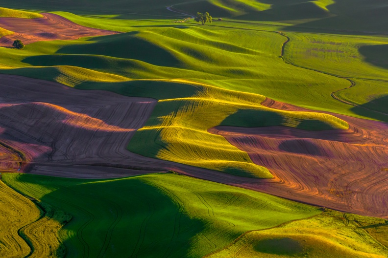 Palouse06-09-13-246-Edit-Edit-Edit.jpg