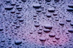 Rain Patterns