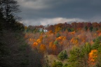 Hills of Gold