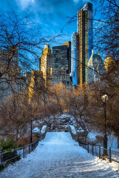 CentralPark01-26-14-82-Edit-Edit-Edit.jpg