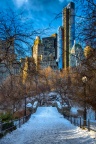 Snowy Path at Central Park