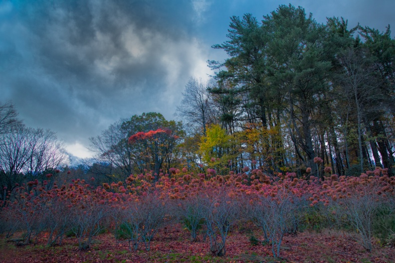 BlowingRock10-24-17-264-Edit-Edit-Edit-2-Edit-Edit-2-Edit-Edit-Edit-Edit-Edit-2-Edit-2.jpg