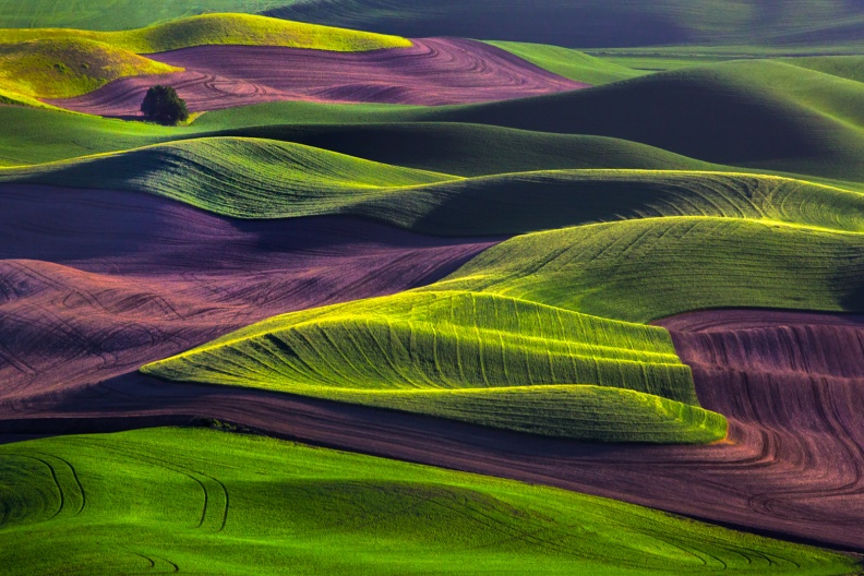 Palouse06-07-13-227-Edit-Edit-3-Edit-Edit-Edit-Edit.jpg