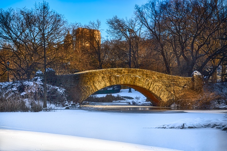 CentralPark01-26-14-182-Edit-Edit-Edit-3-Edit-Edit-Edit-Edit.jpg