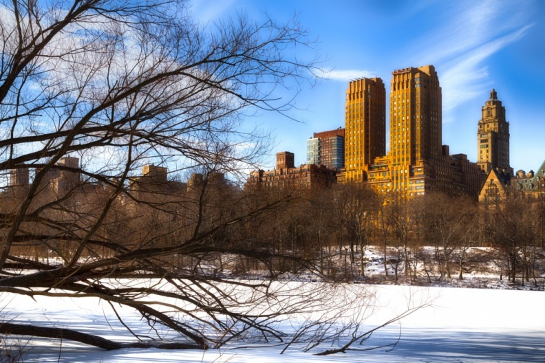 CentralPark01-26-14-525-Edit-Edit-Edit-Edit-Edit-2-Edit.jpg