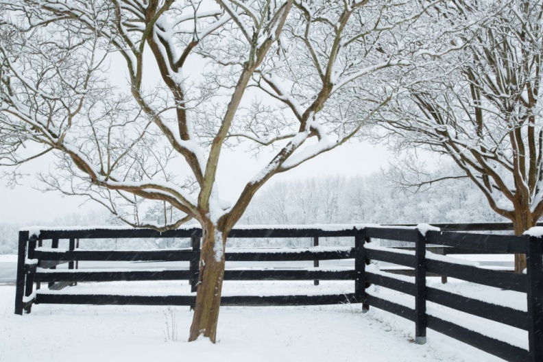 Snow01-17-18-214-Edit.jpg