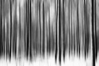  Winter Abstract Monotone