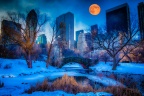 Moonrise Over Central Park