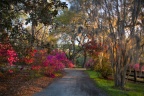 Garden Path