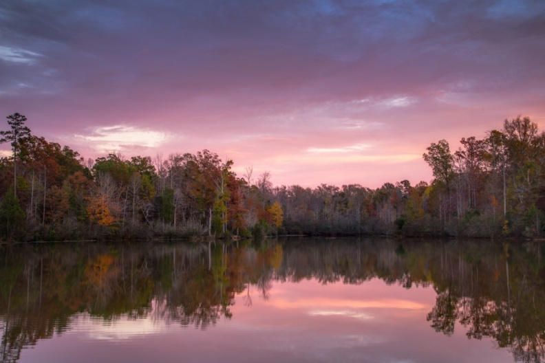 Fall11-25-18-50-Edit-Edit-Edit-Edit-Edit-Edit.jpg