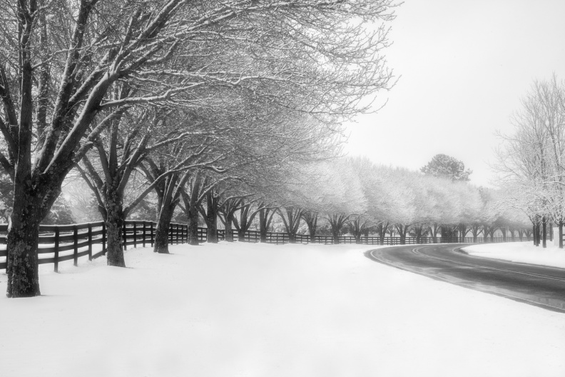 Snow01-17-18-190-Edit-Edit-Edit.jpg