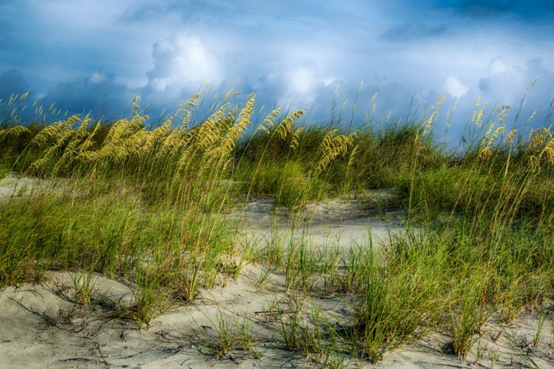 Kiawah06-22-17-262-Edit-Edit-Edit-Edit-Edit.jpg