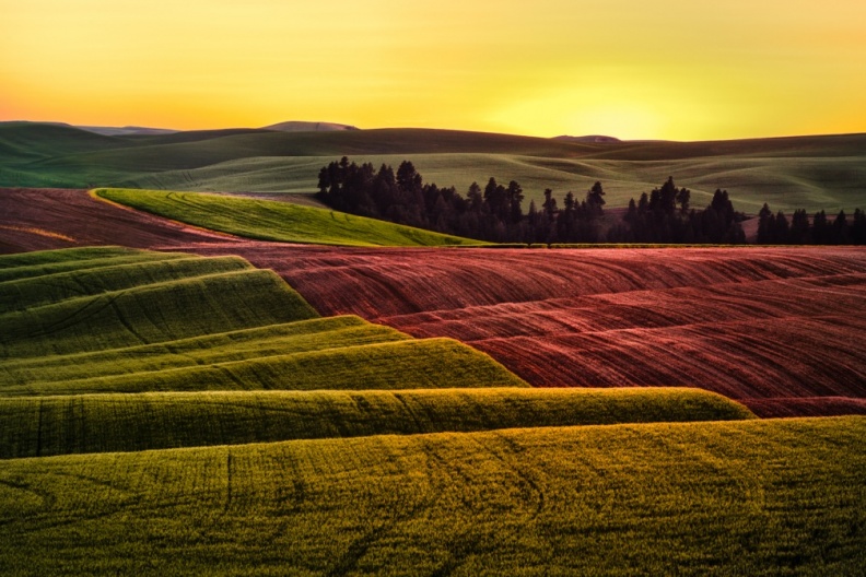 Palouse06-08-13-444-Edit-Edit-Edit-Edit-Edit-Edit.jpg