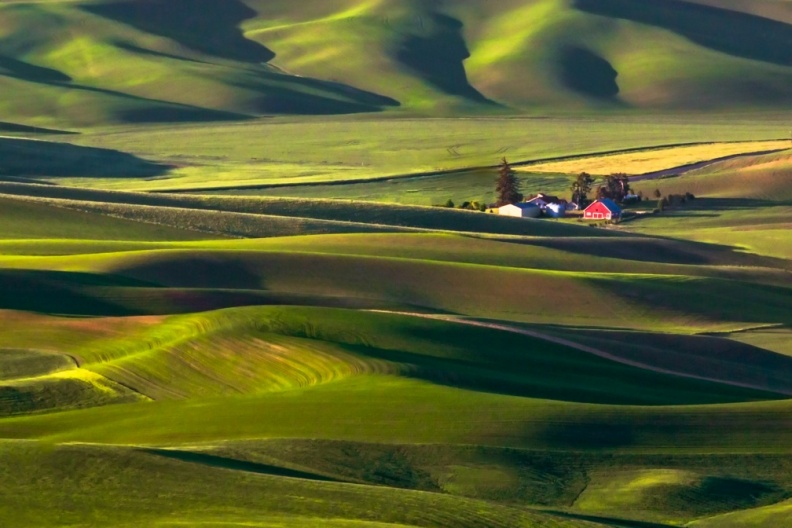 Palouse06-08-13-177-Edit-Edit-Edit-Edit.jpg