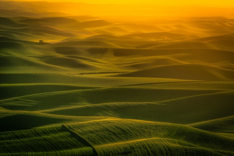 Palouse06-07-13-218-Edit-Edit-Edit-2-Edit-3.jpg