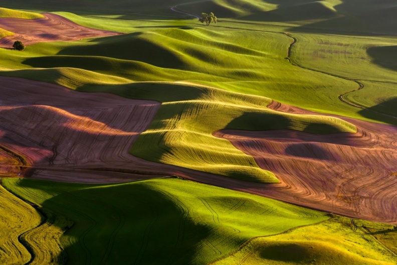 Palouse06-09-13-246-Edit-Edit-Edit-Edit.jpg