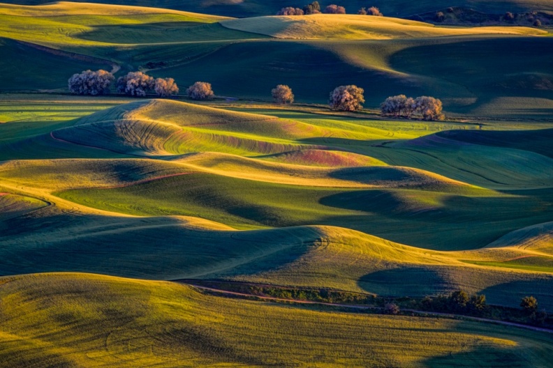 Palouse06-09-13-286-Edit-Edit.jpg