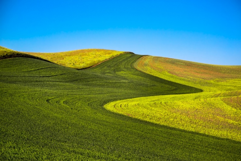 Palouse06-09-13-194-Edit-Edit-2.jpg