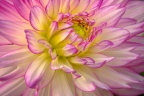 Radiance