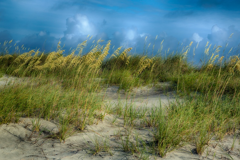 Kiawah06-22-17-262-Edit-Edit-Edit-Edit.jpg