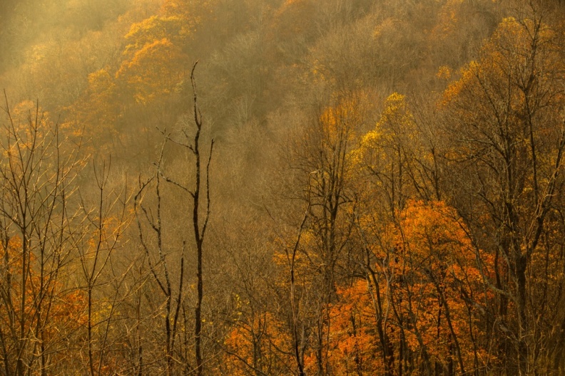 BlueRidge11-04-16-370-Edit-Edit.jpg