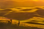 Gold Painted Hills