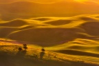 Gold Painted Hills